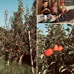 Kainzleitenhof Am Traunsee * Nachdemsee