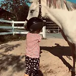 Apartamento Kainzleitenhof Am Traunsee Nachdemsee