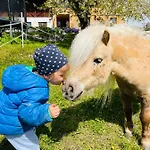 Kainzleitenhof Am Traunsee