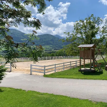 Apartment Kainzleitenhof Am Traunsee