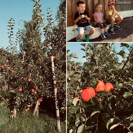 Kainzleitenhof * Nachdemsee