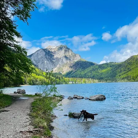 Kainzleitenhof Am Traunsee Apartment *