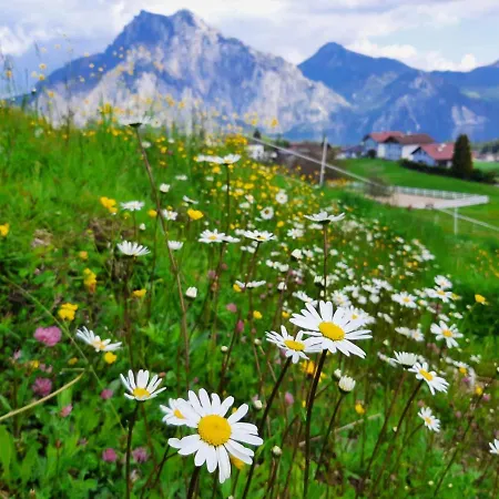 Kainzleitenhof Am Traunsee * Nachdemsee