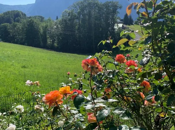 Apartment Kainzleitenhof Am Traunsee Nachdemsee