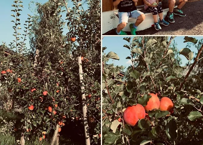 Kainzleitenhof Am Traunsee * Nachdemsee