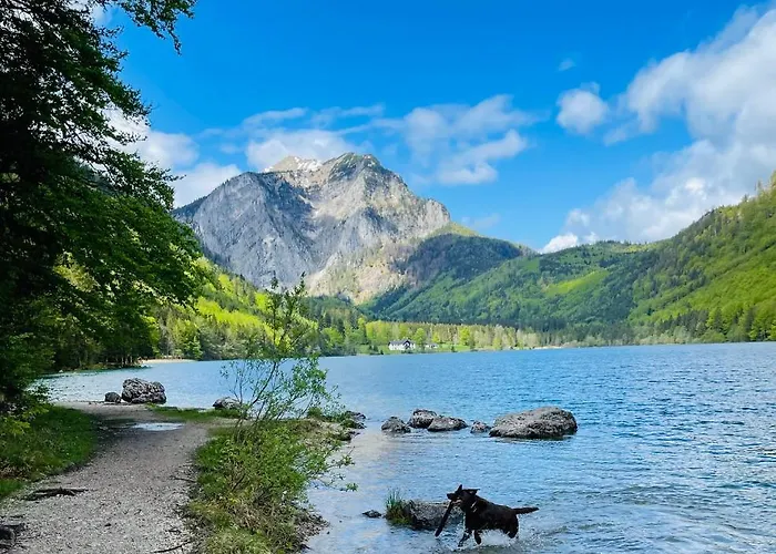 Kainzleitenhof Am Traunsee Apartment *