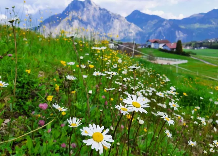 Kainzleitenhof Am Traunsee * Nachdemsee