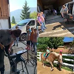 Kainzleitenhof Am Traunsee Апартаменты