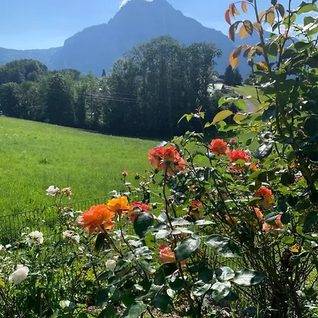 Lejlighed Kainzleitenhof Am Traunsee Nachdemsee