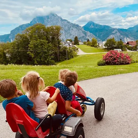 Lejlighed Kainzleitenhof Am Traunsee *