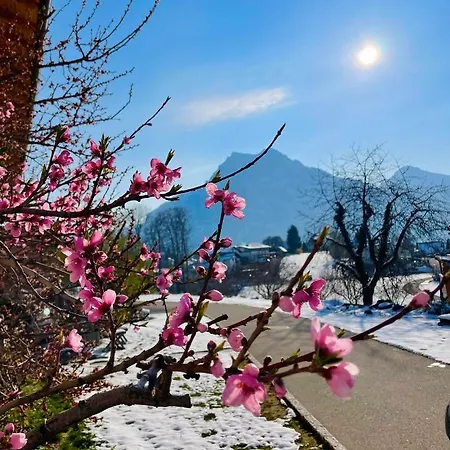 Lejlighed Kainzleitenhof Am Traunsee
