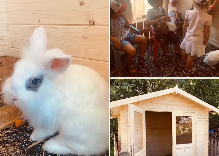 Διαμέρισμα Kainzleitenhof Am Traunsee