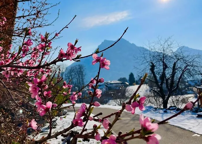 Διαμέρισμα Kainzleitenhof Am Traunsee